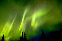 Aurora Borealis in the night sky by Danita Delimont