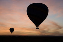 Two balloons glide over the plains of the Masai Mara at sunrise by Danita Delimont