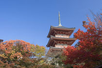 Pagoda in Autumn colour von Danita Delimont