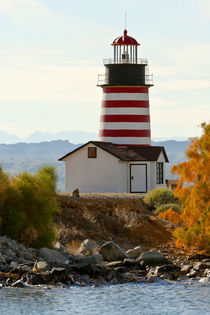 View of West Quoddy Lighthouse von Danita Delimont