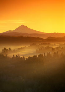 Oregon as seen from Jonsrud viewpoint von Danita Delimont