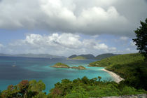 Overview of Trunk Bay by Danita Delimont