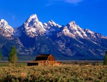 Morning light on the Tetons and old barn by Danita Delimont