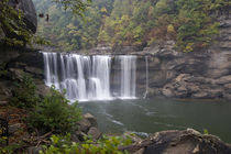 Cumberland Falls on the Cumberland River in Cumberland Falls State Resort Park by Danita Delimont