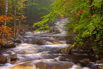 Flowing streams along the Appalachian Trail von Danita Delimont