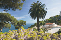 Ravello: Garden View from the Villa Rufolo von Danita Delimont