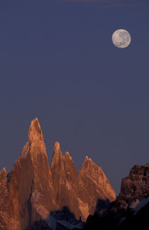 Patagonia Parque Nacional los Glaciares Moon over Cerro Torre Range shortly after sunrise by Danita Delimont
