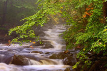 Flowing streams along the Appalachian Trail by Danita Delimont