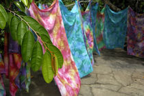 Hand colored batik sarongs for sale by Danita Delimont