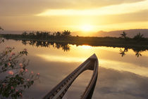 Burma (Myanmar) Sunken fishing boat reflecting the sunset on Inle Lake von Danita Delimont