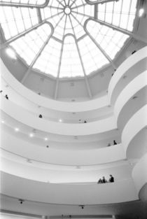 New York City: The Guggenheim Museum View looking Up by Danita Delimont