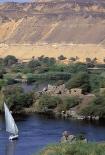 Nile River at Aswan von Danita Delimont