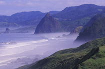 Oregon coastline and seastacks by Danita Delimont