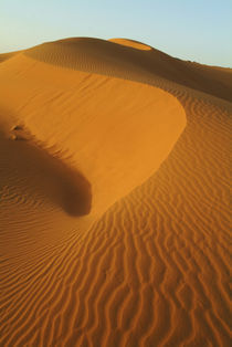 Dunes in the desert by Danita Delimont
