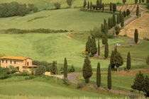 Curvy Tuscan road von Danita Delimont