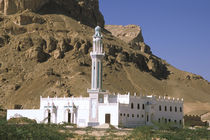 White mosque von Danita Delimont