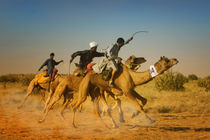 India camel races in the Thar Desert at the desert festival by Danita Delimont