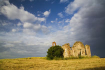 Ruin of Old Church in Tuscany by Danita Delimont