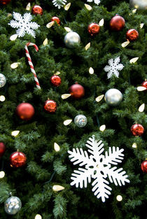 Christmas decorations on tree von Danita Delimont