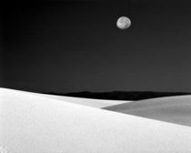 Nighttime with full moon over the desert (black and white) von Danita Delimont
