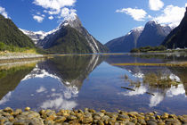 New Zealand by Danita Delimont