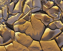 Mud Cracks in Death Valley National Park in California von Danita Delimont