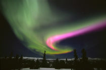 Aurora Borealis in the night sky von Danita Delimont