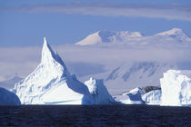 Afternoon sun lights icebergs grounded near Port Charcot southwest of Lemaire Channel by Danita Delimont