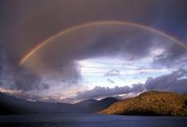 Greenland Stunning rainbow over mountains and sea by Danita Delimont