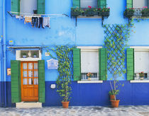 A colorful house in Burano near Venice by Danita Delimont