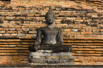 Buddha at Wat Mahathat by Danita Delimont