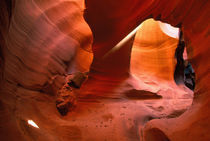 Sandstone formations by Danita Delimont