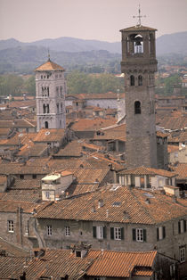 Town panorama from tower; Casa dei Guinigi; Lucca rooftops by Danita Delimont