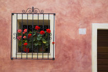 Window Boxes with Fresh Spring Flowers von Danita Delimont
