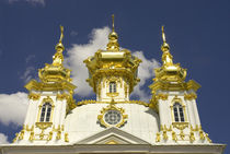 Golden domes by Danita Delimont