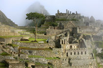 The ancient citadel of Machu Picchu cloaked in mist von Danita Delimont