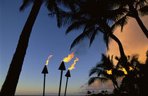 Tiki Torches Hawaii by Danita Delimont