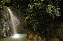 Waterfall von Danita Delimont