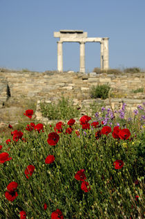 Column ruins von Danita Delimont