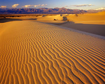 Mesquite Flat Sand dunes in Death Valley National Park in California von Danita Delimont