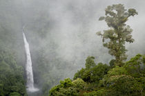 San Fernando Waterfall by Danita Delimont