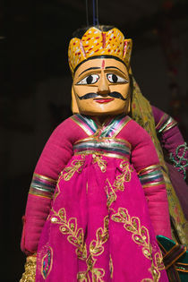 Indian Puppets by Danita Delimont