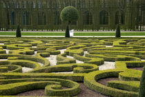 Queen's Garden von Danita Delimont