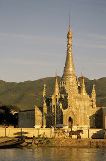 Pagodas von Danita Delimont
