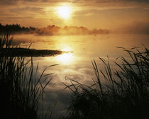 Morning fog on Hummel Lake von Danita Delimont