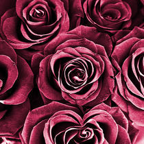 Rose Bouquet in Red von Igor Shrayer