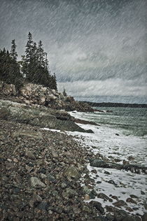 Coastal rain storm, Maine, USA by John Greim