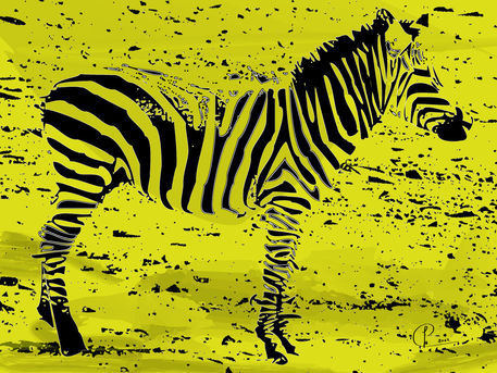 Zebra01