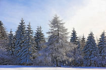 Natur im Winter von Wolfgang Dufner