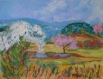 Arrivée du printemps en Languedoc by myriam courty